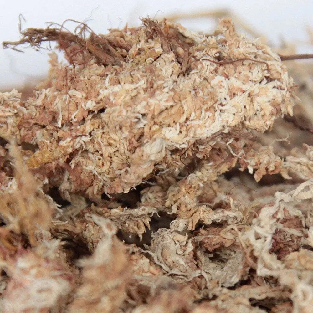 Orchid Nerd Compressed Sphagnum Moss 150 Grams