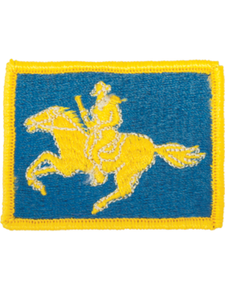 Wyoming National Guard Patch