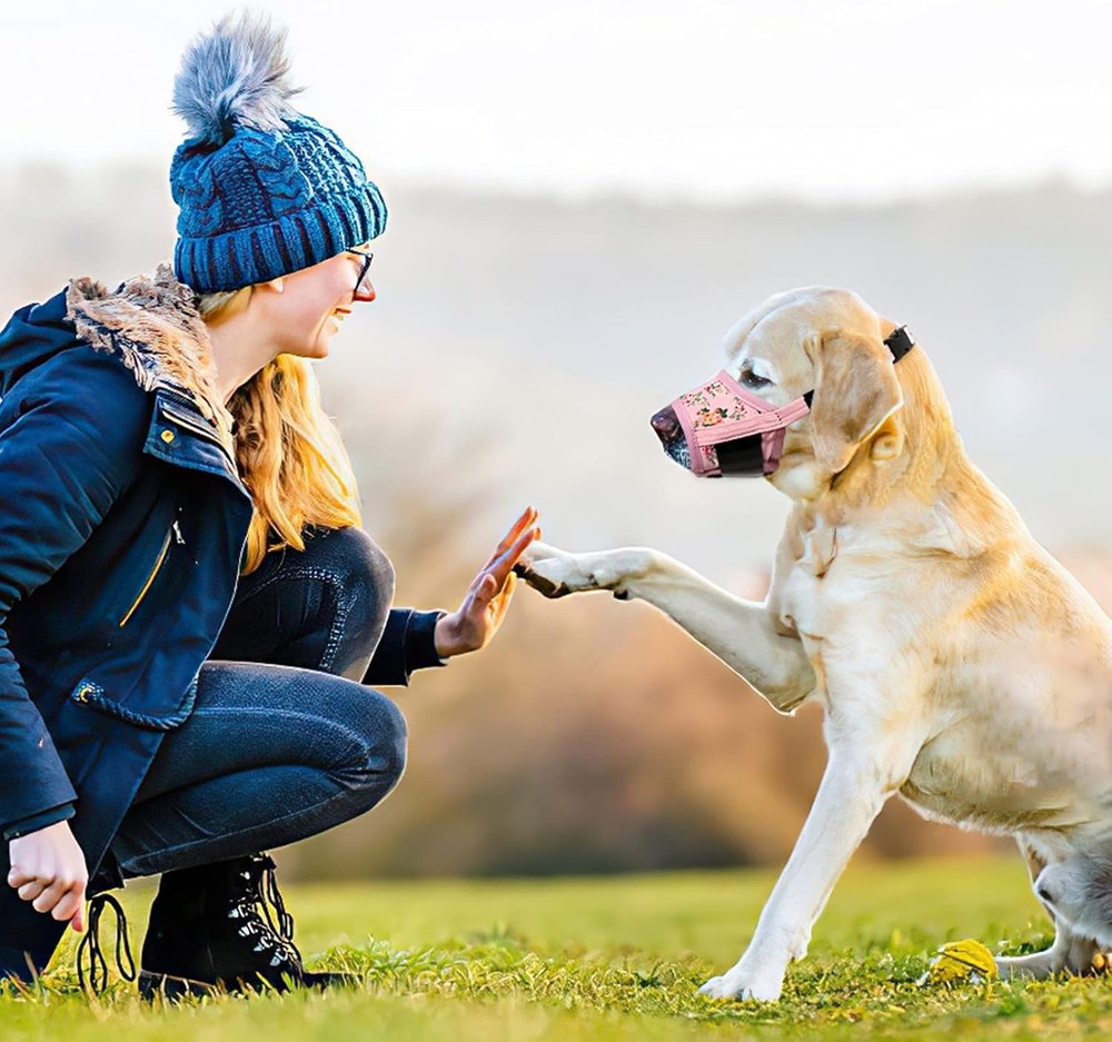 Dog Muzzle,Soft Nylon Muzzle Anti Biting Barking Chewing,Air Mesh Breathable ...