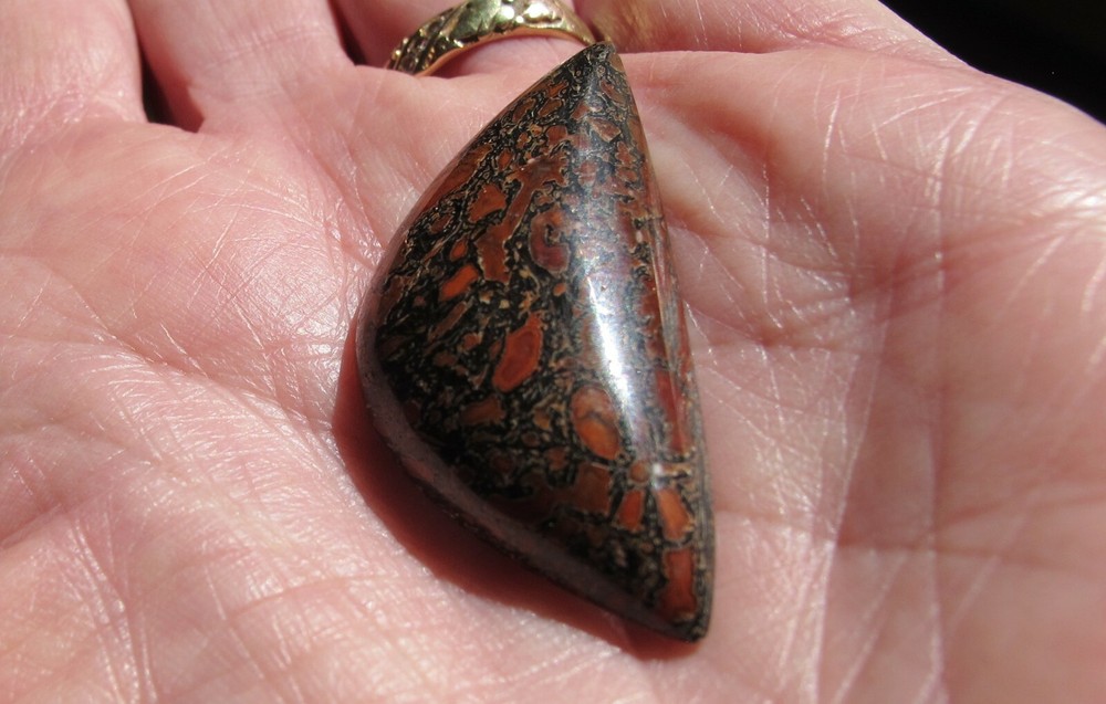 Beautiful Dinosaur Bone Cabochon * Super Red Cells * 33 cts.