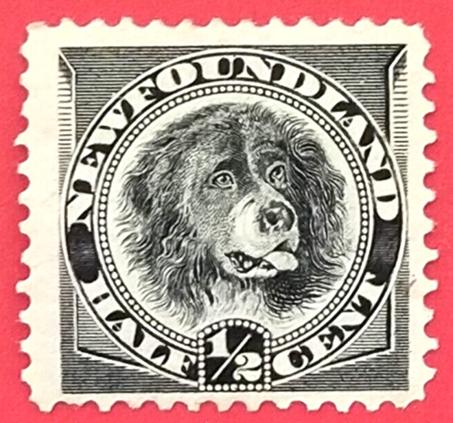 Canada Newfoundland 58 Newfoundland Dog MH