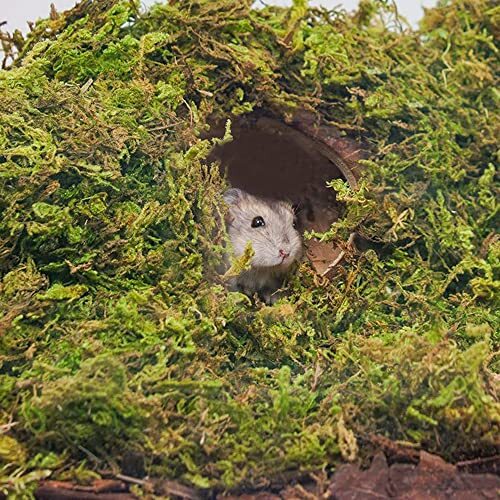 15L Forest Moss for Hamster Bedding Nesting Syrian Gerbils Hamster Cages Acce...