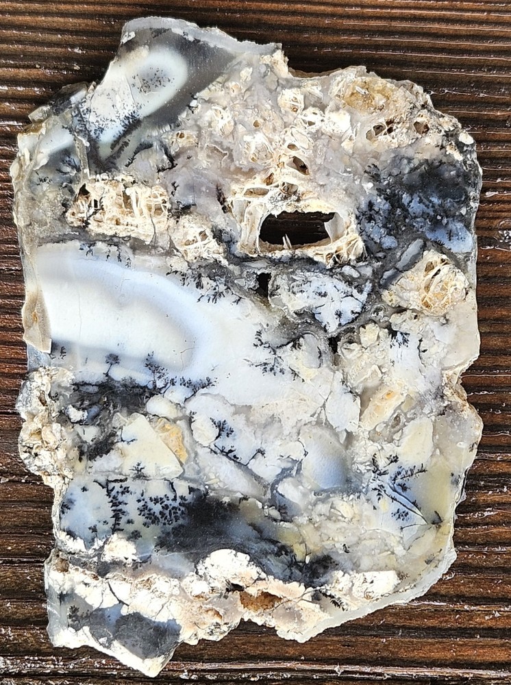 Dendritic Agate Lapidary Slab 78 Grams