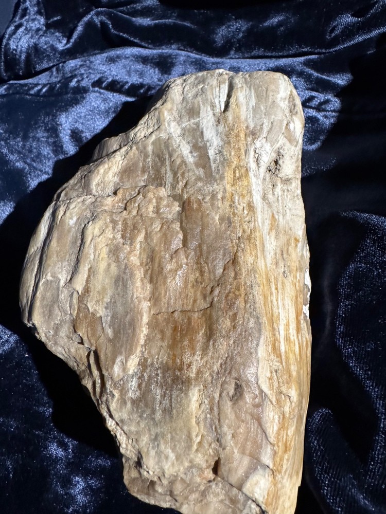 Petrified Opalized Wood Specimen Natural Form