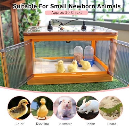 Chick Brooder Box for Chicks, Quail Brooder Box Kit with Heater Feeder and