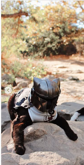 3D-Printed Mandalorian Helmet for Cats