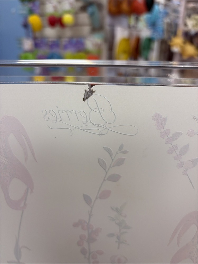 Nicolette Meyer Botanical White