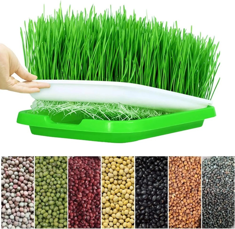 Hydroponic Microgreens Sprouter Tray – Ideal for Sprouting & Nursery Use
