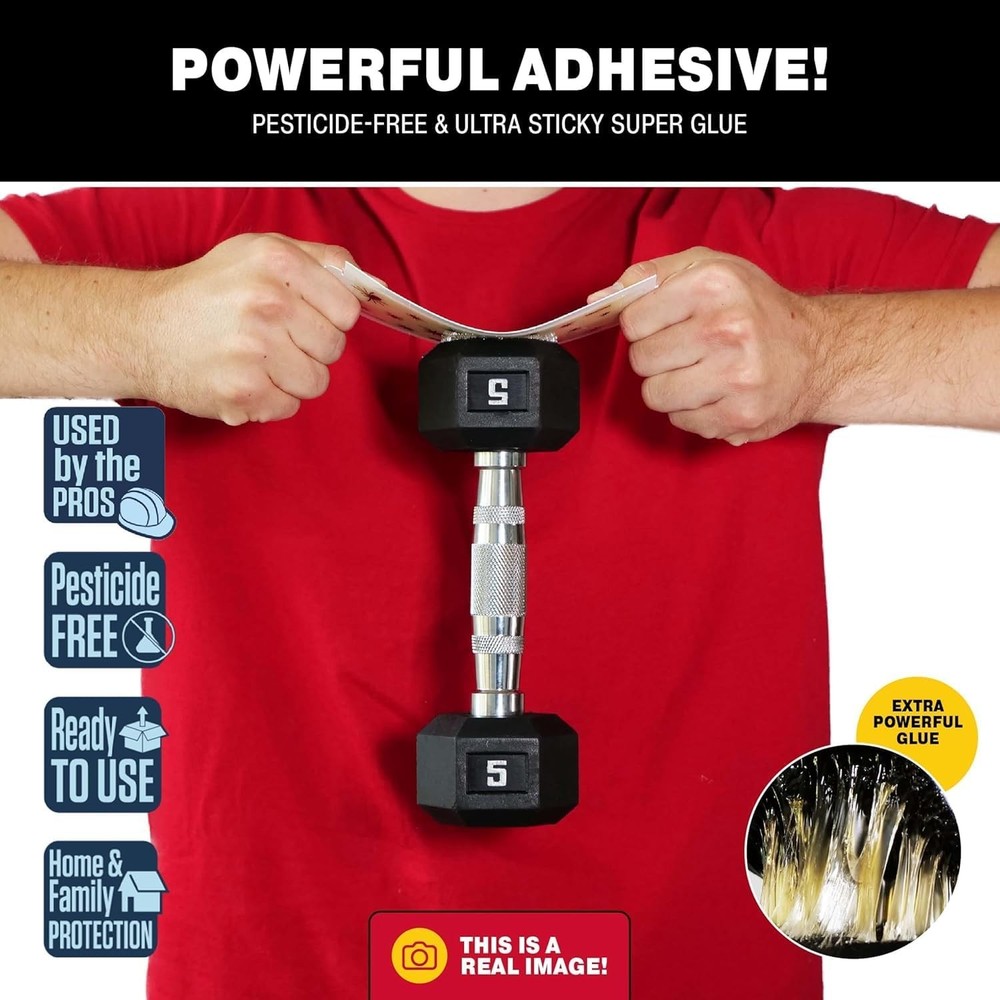 Catchmaster Spider Glue Board Traps