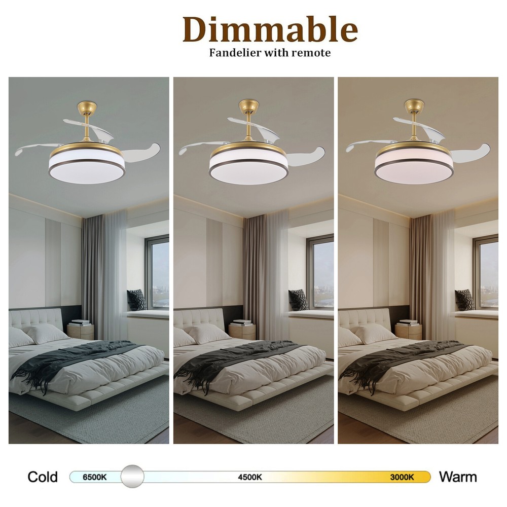 Timing 6 Wind Speed LED Ceiling Fan Light Remote Control Ceiling Mount Light