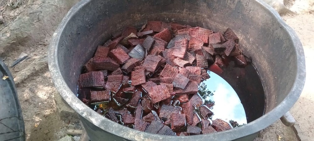 Processed Coconut Husk Chips (Dried) . ( Tannin Remove & Pest clear certified)