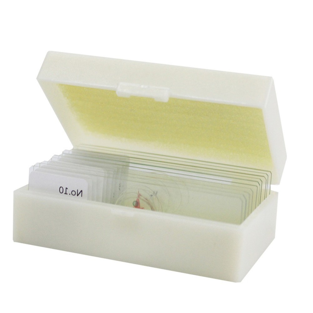 10 PCS/Set Specimen Slides for Microscope and Coverslips Concave