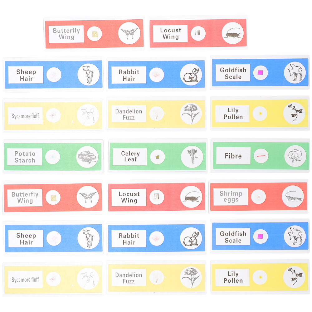 36 Pcs Microscope Slide for Science Education Biology Child