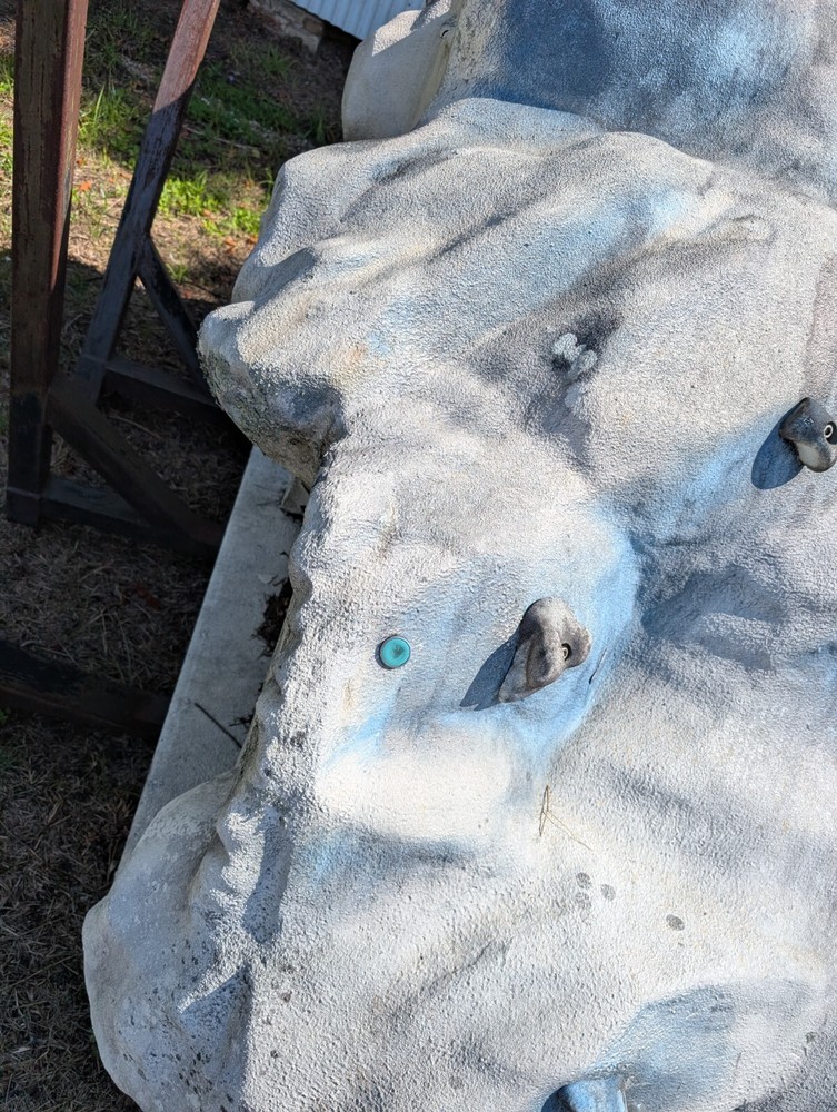 25 Foot Rock Climbing Wall