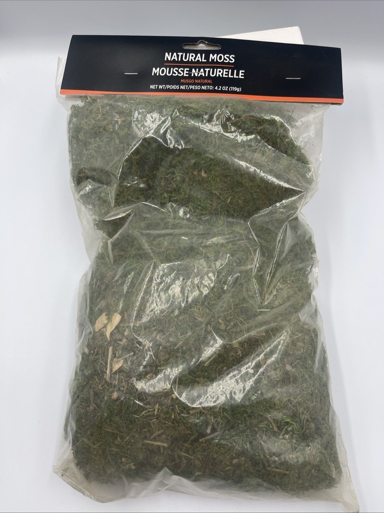 Natural Moss Halloween Decorations 4.2oz