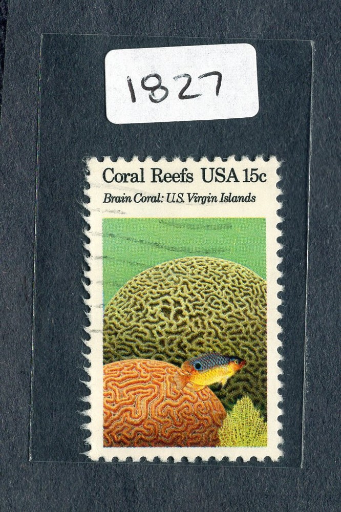 1980 Stamp #1827 Brain Coral Used