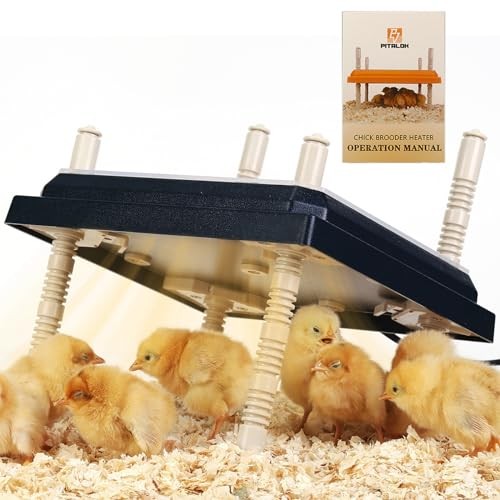 Brooder Heater for Chicks: Chick Brooder Heating Plate with Easy- Black-10x10