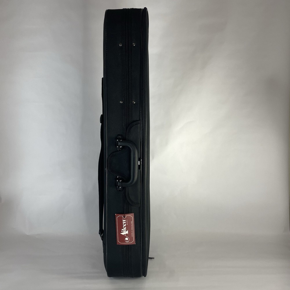 CSV102 Professional Triangular Lightweight Suspension Carry Violin Hard Case