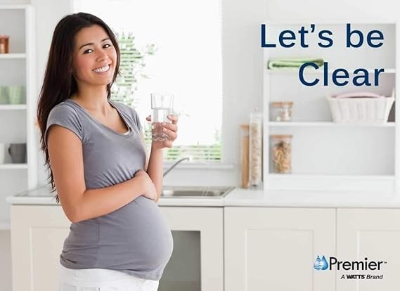 Watts Premier 105351 RO Pure Carbon Pre-Filter, Yellow