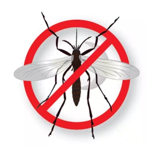 NEW Cutter Backyard Bug Control Fogging Insecticide, No Offensive Odor - 32 oz.