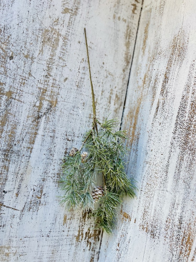 Weeping Pine Spray, 19”