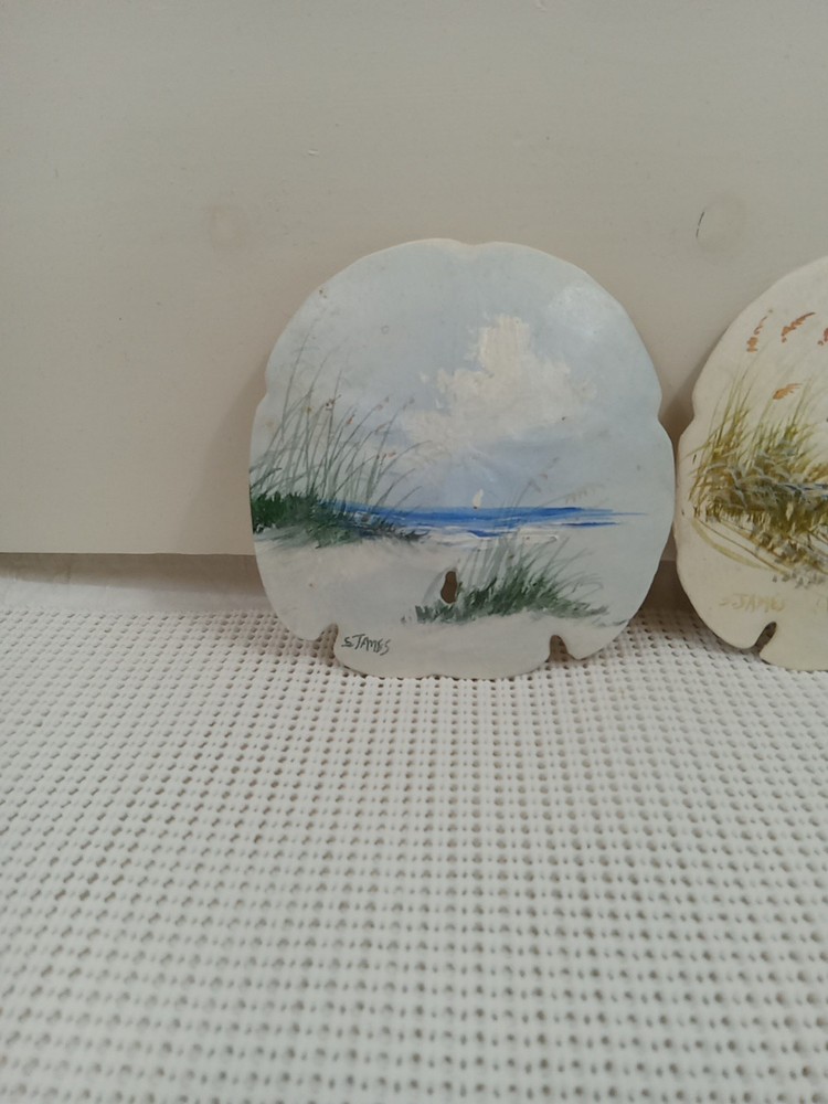 Large Painted Sanddollar
