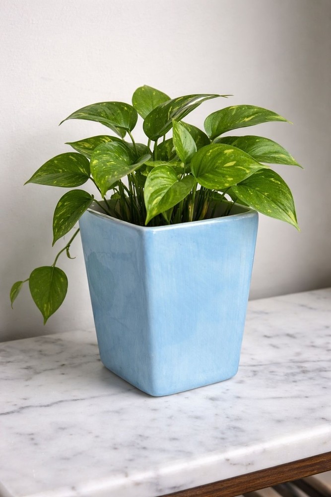 Pottery Barn Blue Ceramic Planter Square Minimalist Decor
