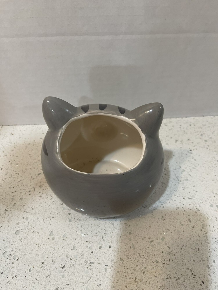 Gray Cat Sweet Eyes Planter Storage Ceramic