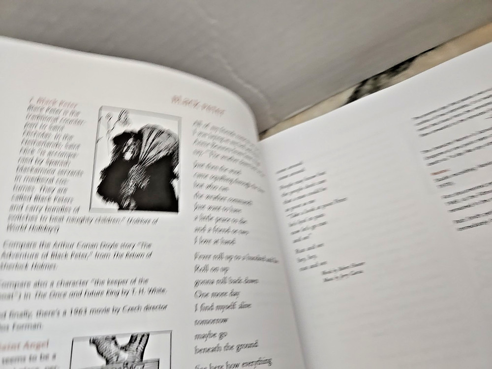 The Complete Annotated Grateful Dead Lyrics Annotations by David Dodd Hardcover