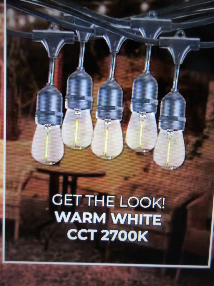Bulbrite Outdoor/Indoor 30 ft. Plug-In Edison Bulb S14 LED Black String Light