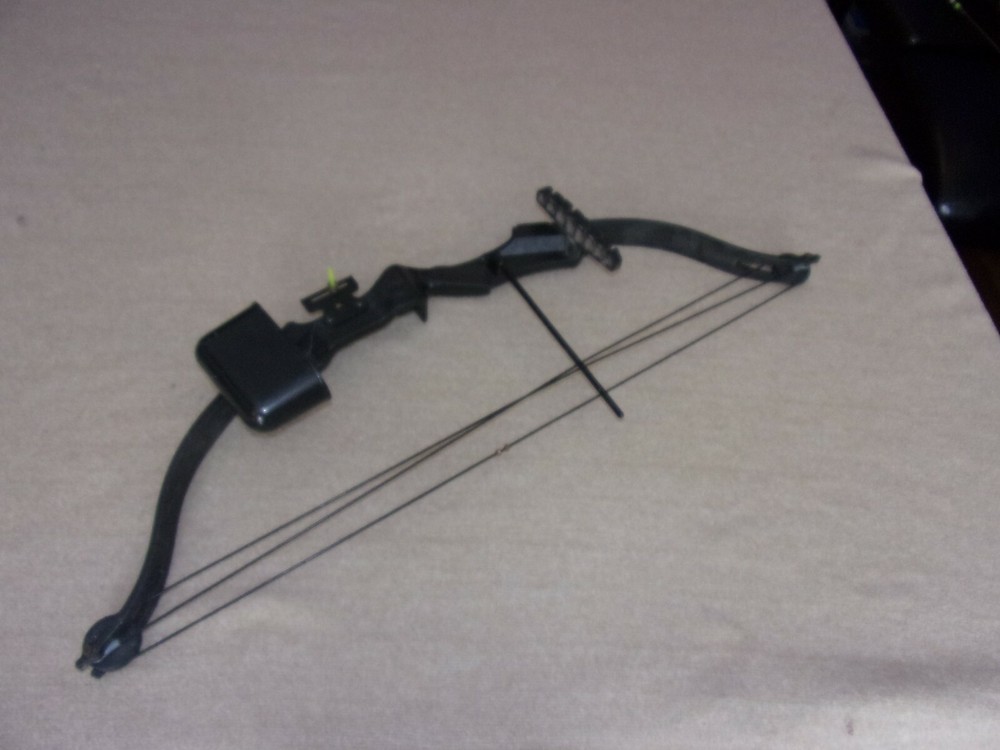 Golden Eagle Brave Youth Bow Full set up