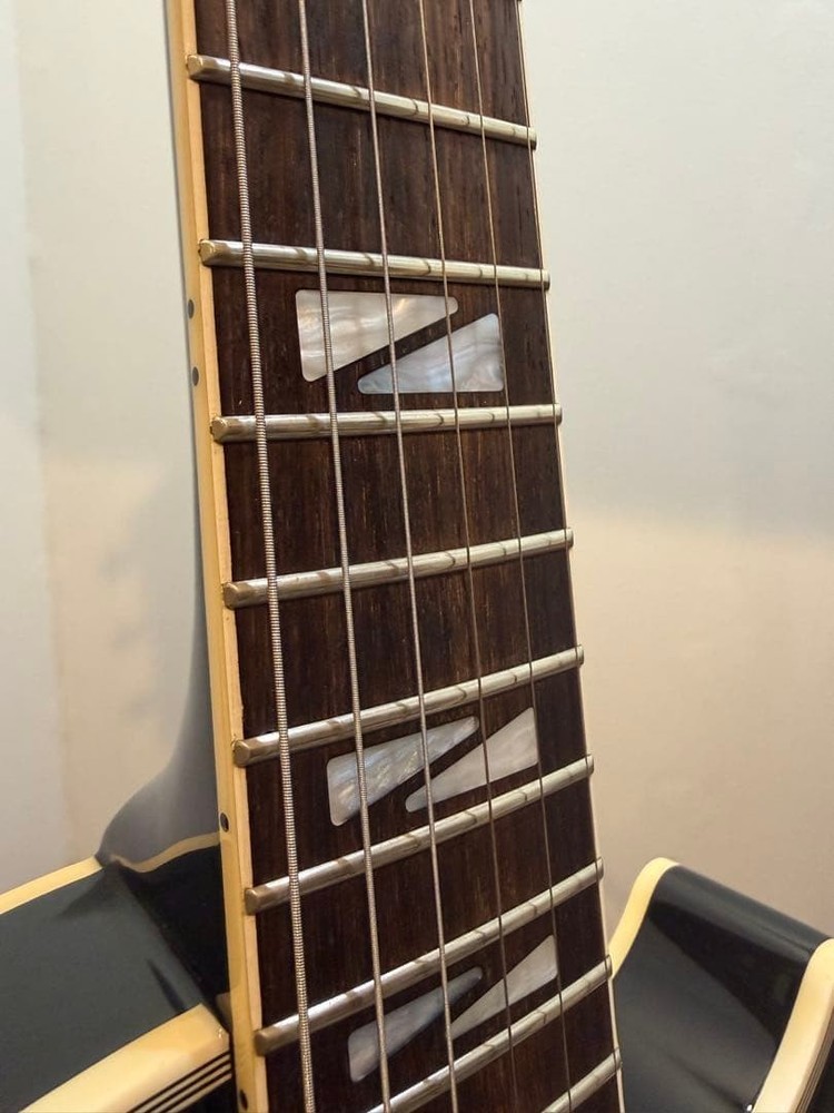 CoolZ Les Paul Custom Made by FUJIGEN