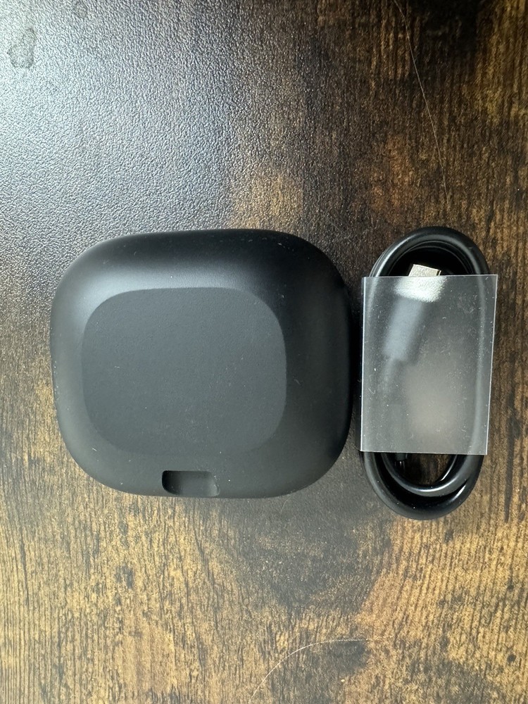 Beats Powerbeats Pro 2 Wireless Earbuds - Black
