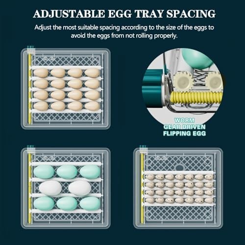36 Quail Incubators for Hatching Eggs, Quail Egg Incubator with Automatic Egg Tu