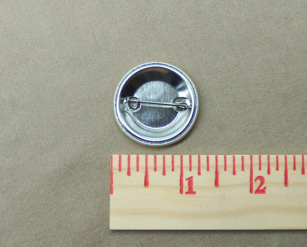 Same Panic, Different Disco 1.25” Button Modern Chaos Madness Meme Pinback