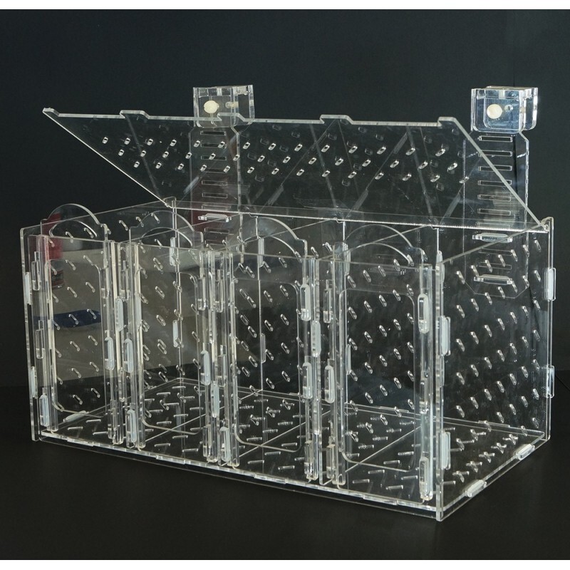 Bubble Magus Acclimation Box Collapsible 4 Models