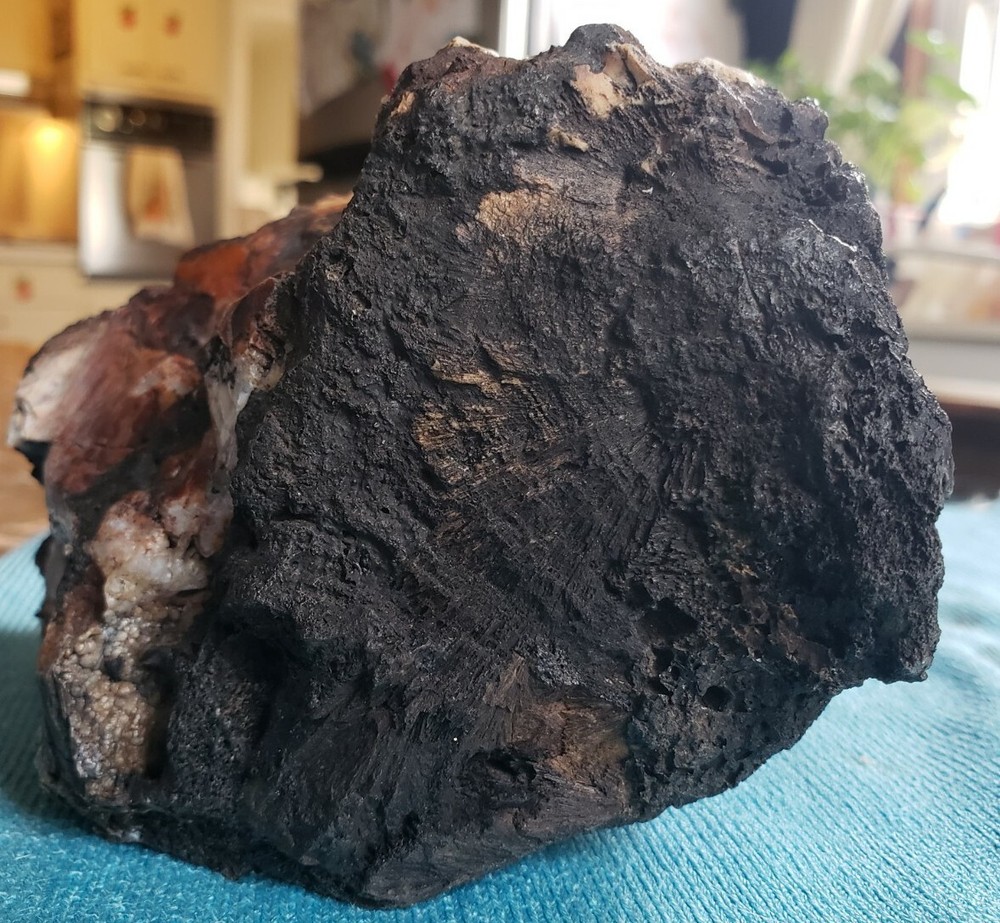 Agatized Opalized Petrified Oregon Fire-scorched Driftwood