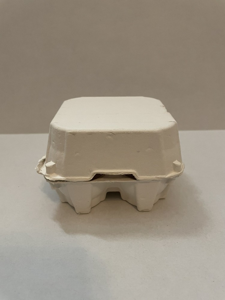 4 Count Paper Pulp Egg Carton (3 pack)