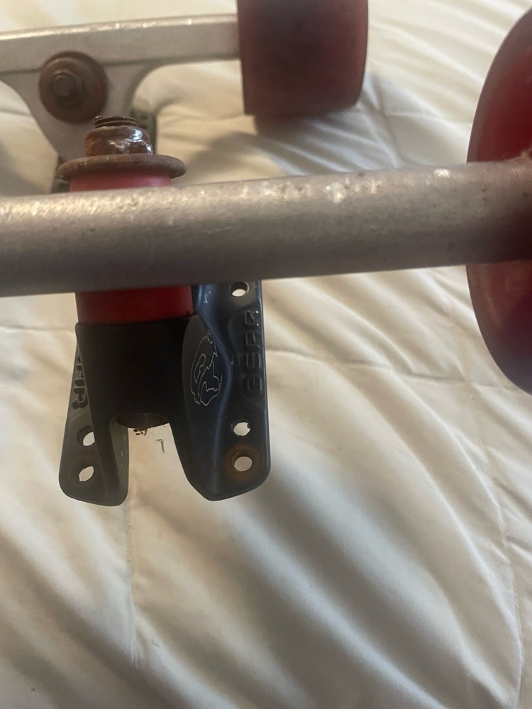 Bear Skateboard Trucks And Hawgs Wheels