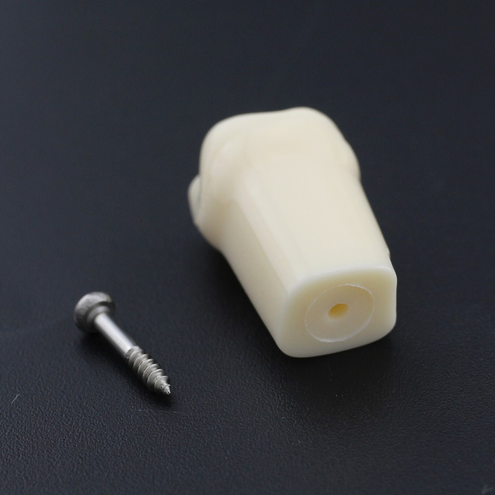 Dental Typodont Teeth Model Removable Teeth Mount Pole Kilgore NISSIN 200 Style