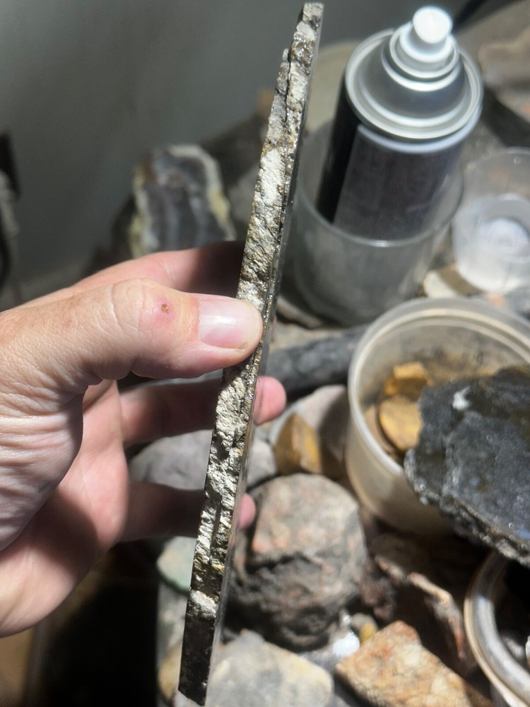 Dinosaur bone rough **hxtled large slab.