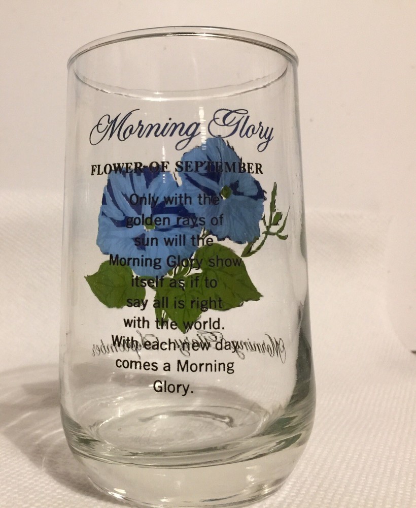 Morning Glory September Drinking Glass Tumbler