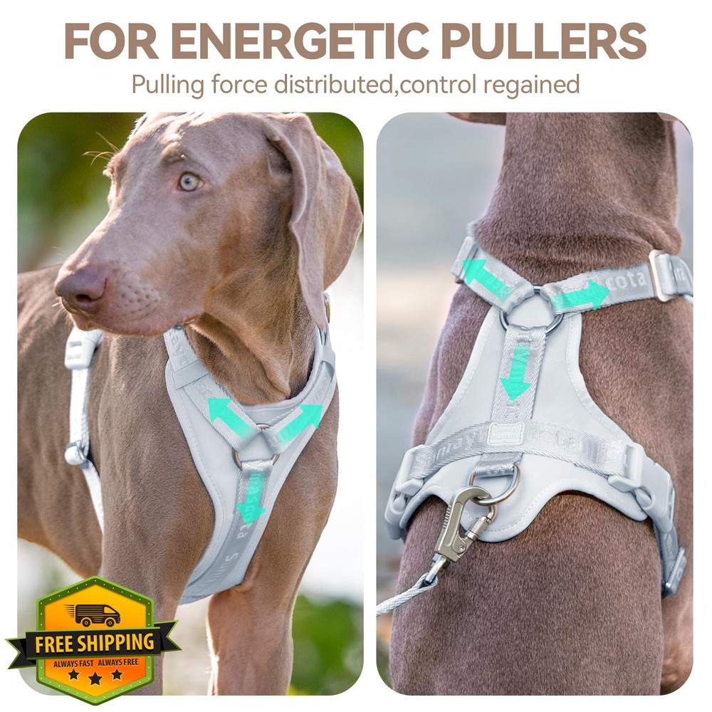 Sunraymascota No Pull Dog Harness, Breathable Mesh, Light Blue, S