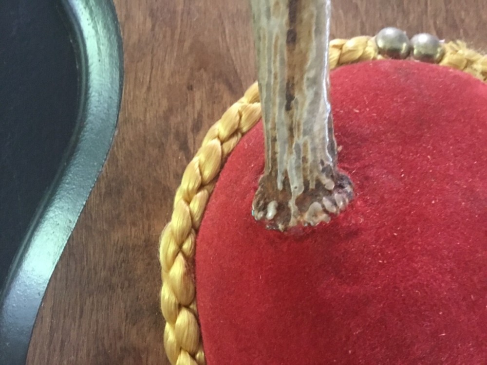 Mounted Single Deer Antlers #5