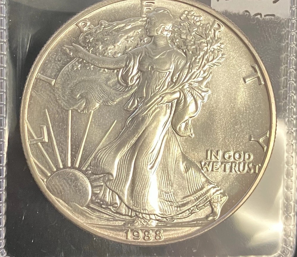 Random Date $1 American Silver Eagle Dollar In Flips/Tube(multiples Available)
