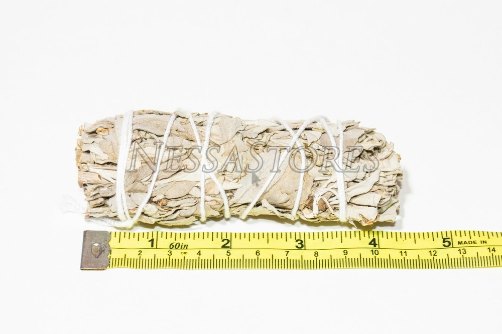 NessaStores- White Sage 4" & Abalone Shell 4" - 5" (1 Kit)