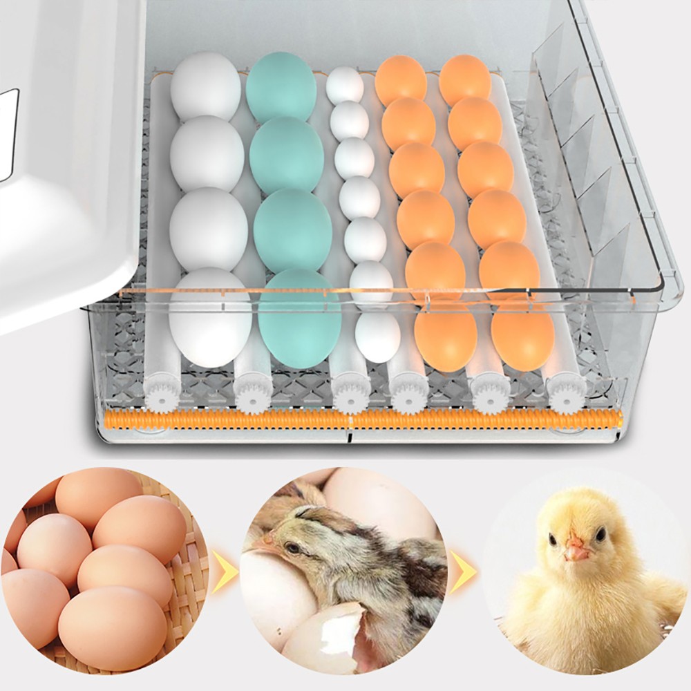 For Hatching Chicken Farm Egg Incubator 64 Eggs Fully Digital Automatic Hatcher