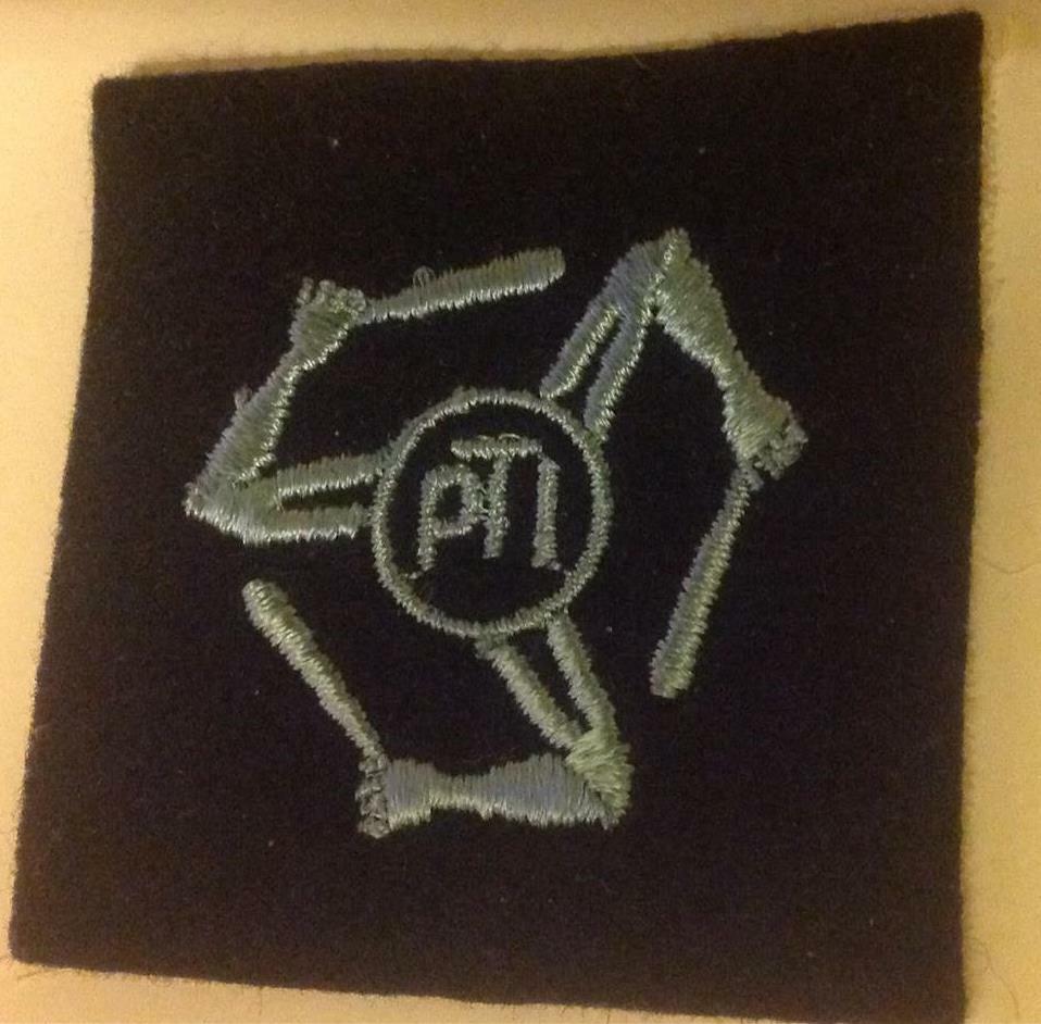 RARE FIND Original WWII PHYSICAL TRAINING INSTRUCTOR patch