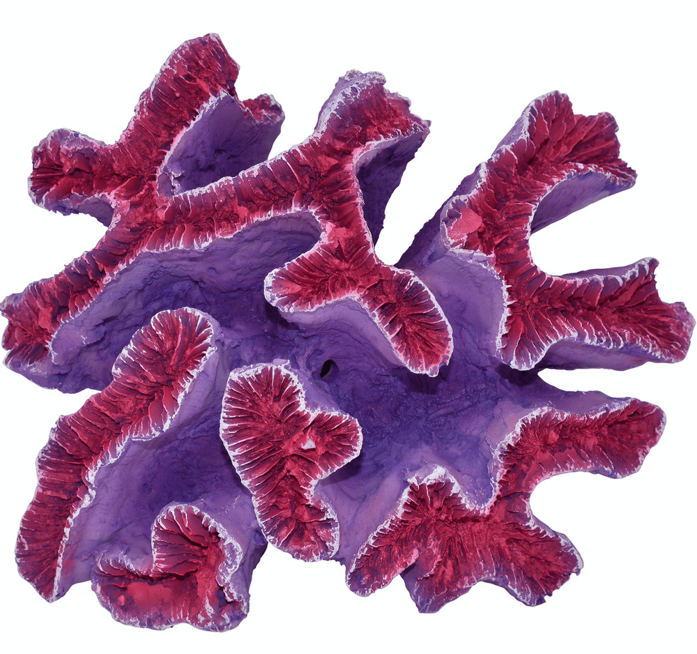 Komodo Curly  Coral Ornament, Aquarium Decor
