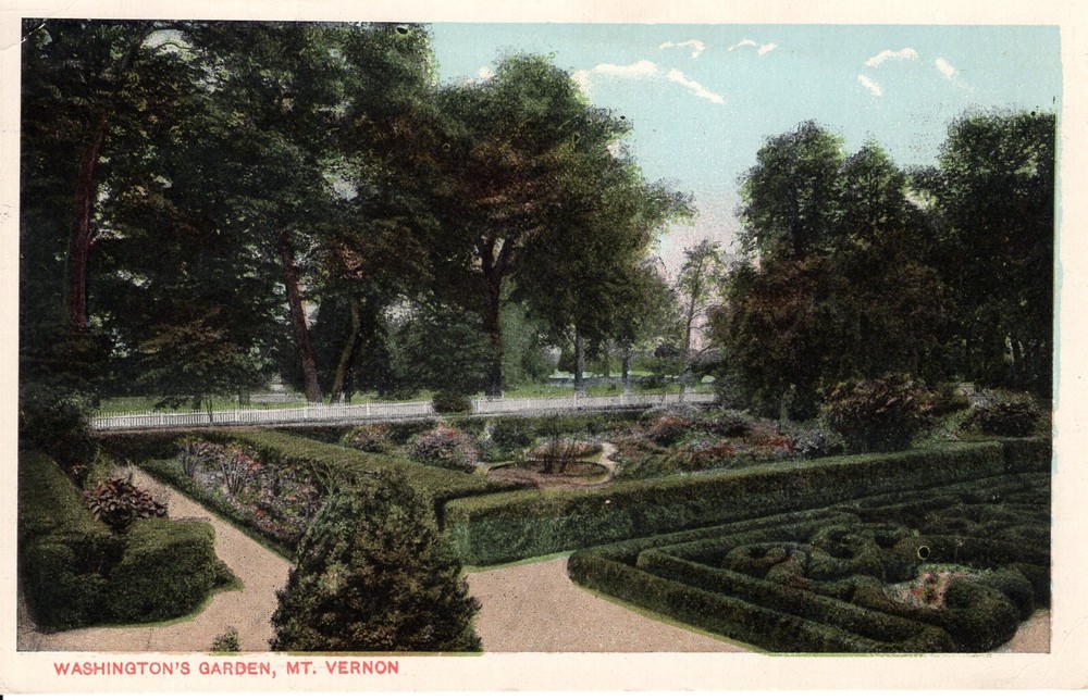 WASHINGTON'S GARDEN, MT. VERNON - PC1903